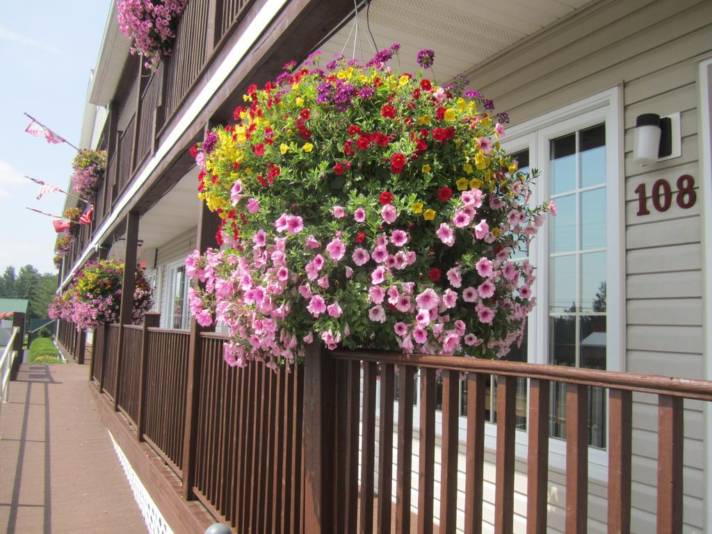 Bishops Country Inn Motel Jackman エクステリア 写真